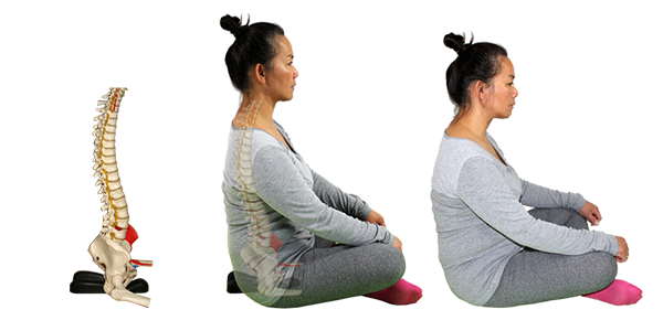 spynamics sitting on floor